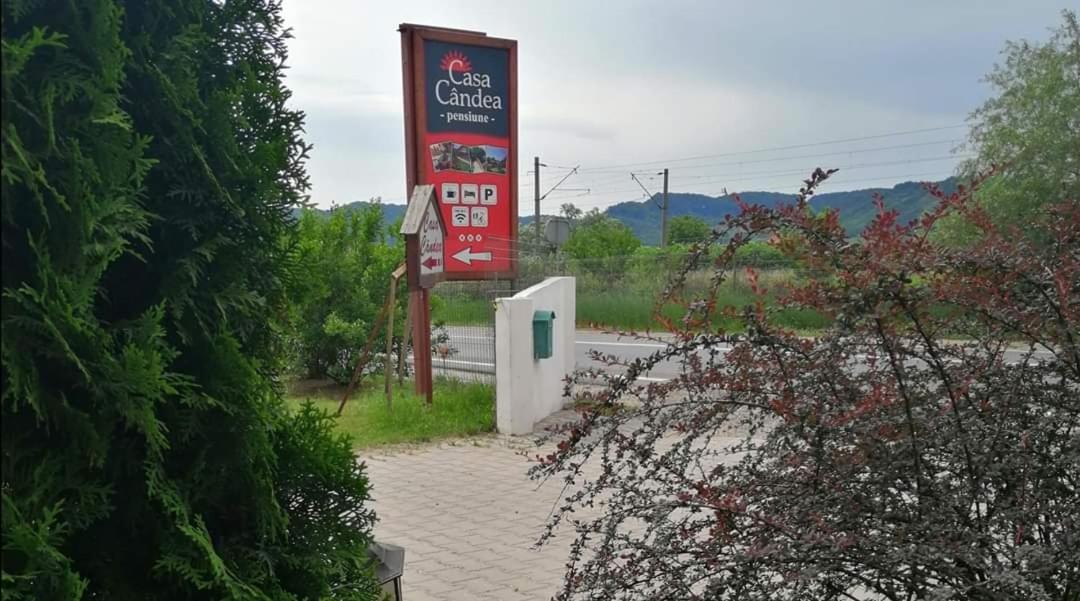 Casa Candea Sighisoara Hotel Exterior photo